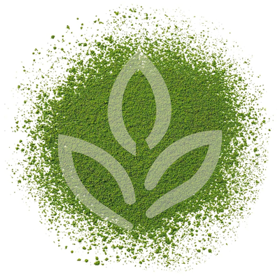 Matcha Japonais Shiro BIO