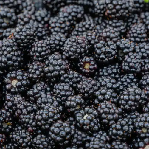 Note de coeur: Mûre