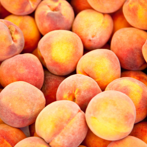 Note de fond: Pêche