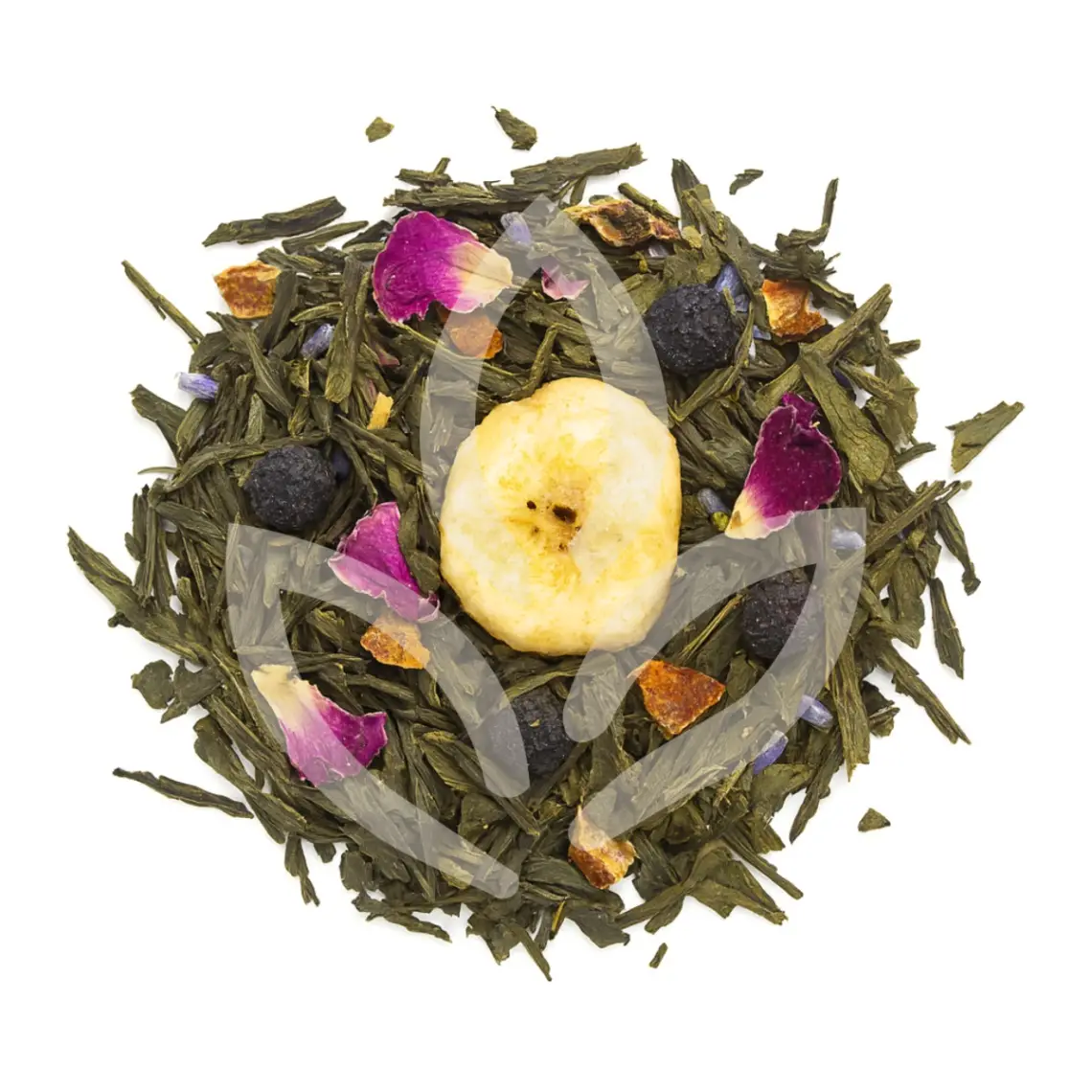 Calypso Éclatant - Vue 0