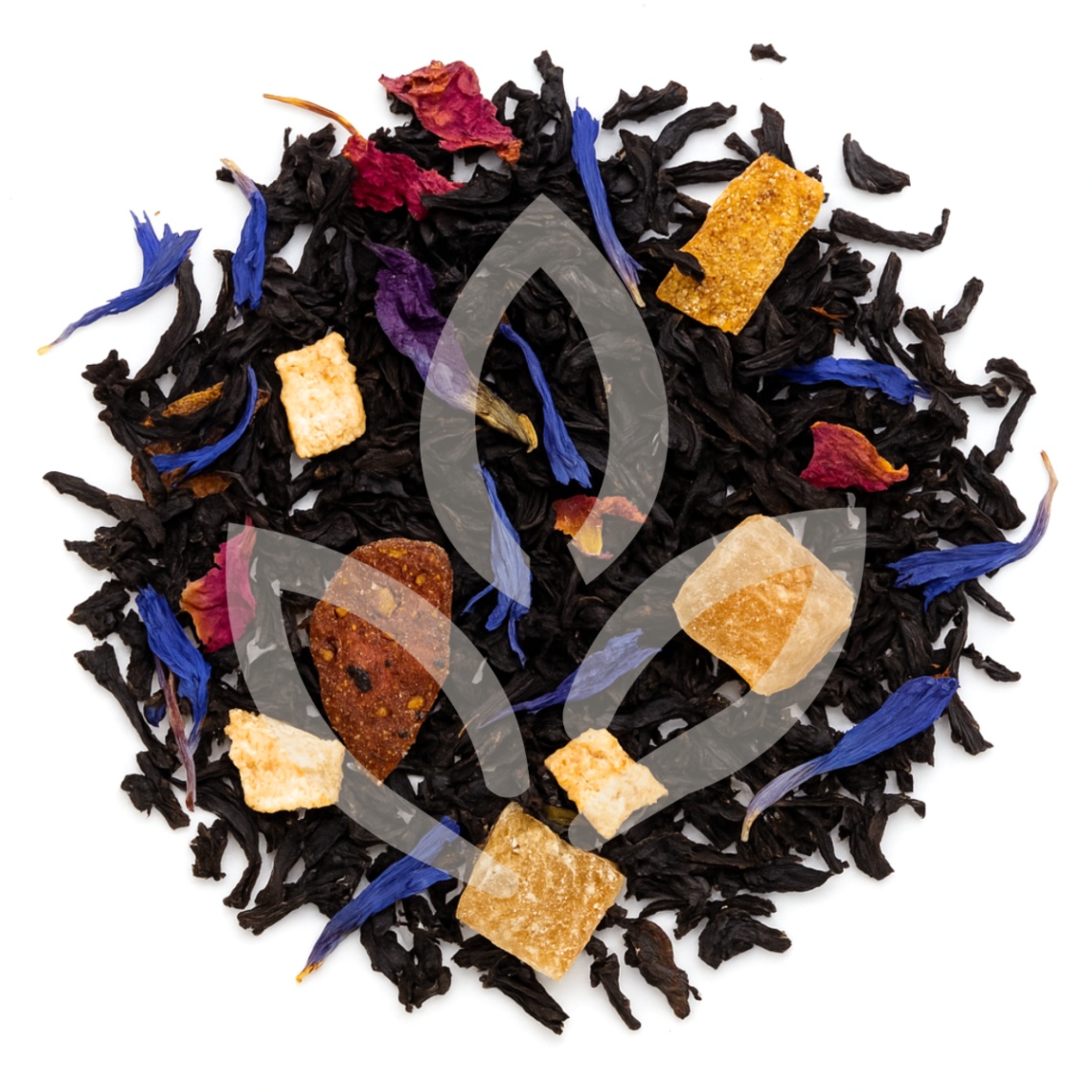 Divine Évasion - Vue 0