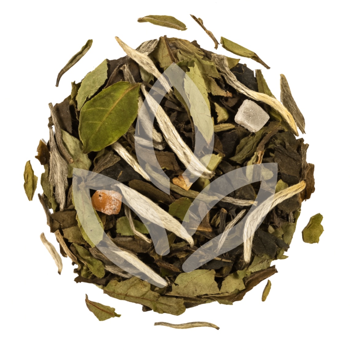 Évasion Passionnée