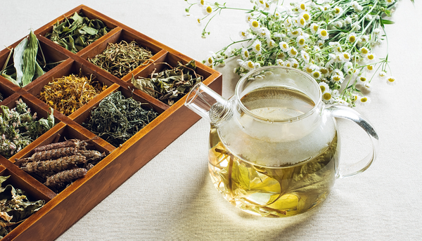 Quel thé brûle le plus de graisses ?