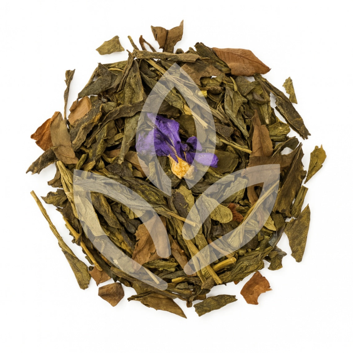 Élégance Parisienne