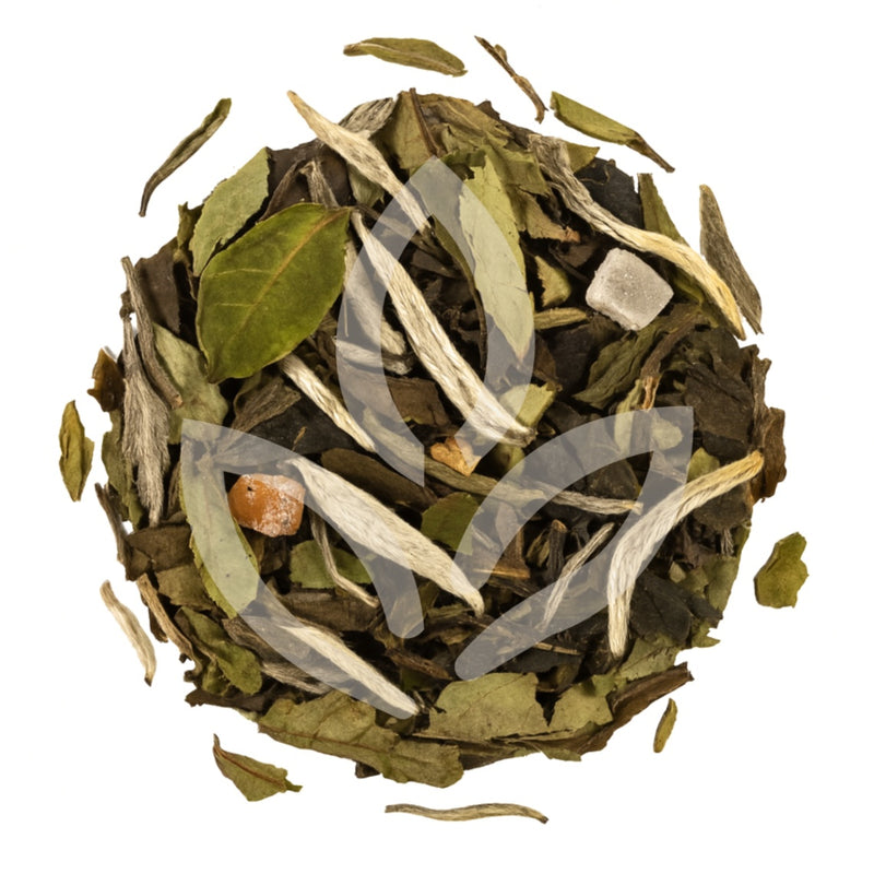 Évasion Passionnée