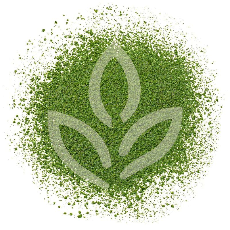 Matcha Japonais Shiro BIO