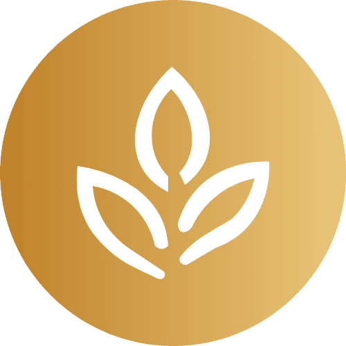 Catégorie Infusions - Renaissance Tea