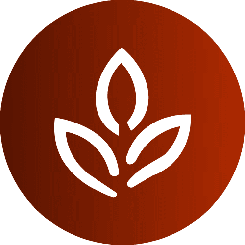 Catégorie Thé Noir - Renaissance Tea