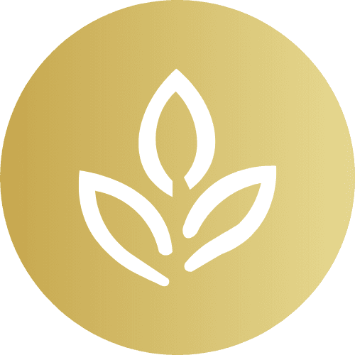 Catégorie Oolong - Renaissance Tea