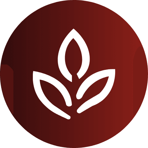 Catégorie Rooibos - Renaissance Tea